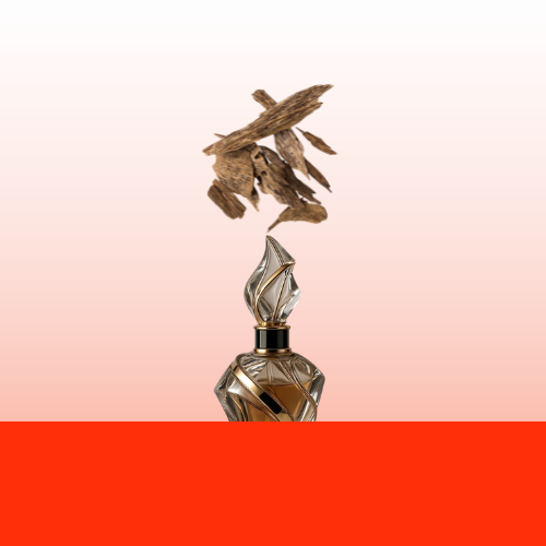 عطور وبخور